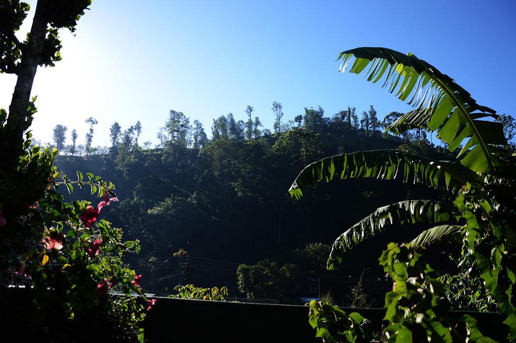 Nil Vimana Villa Ella Bagian luar foto